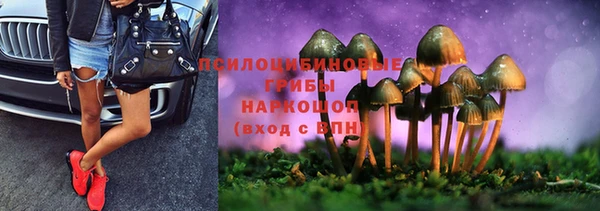 экстази Липки
