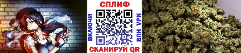 наркотики  Кисловодск  Каннабис MAZAR 